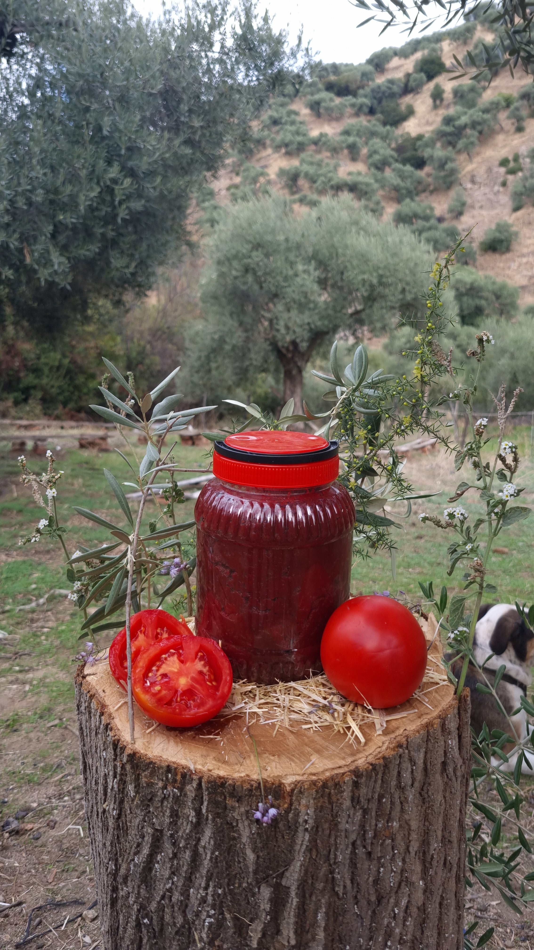 Köşk - Domates Salçası (1 Kg)