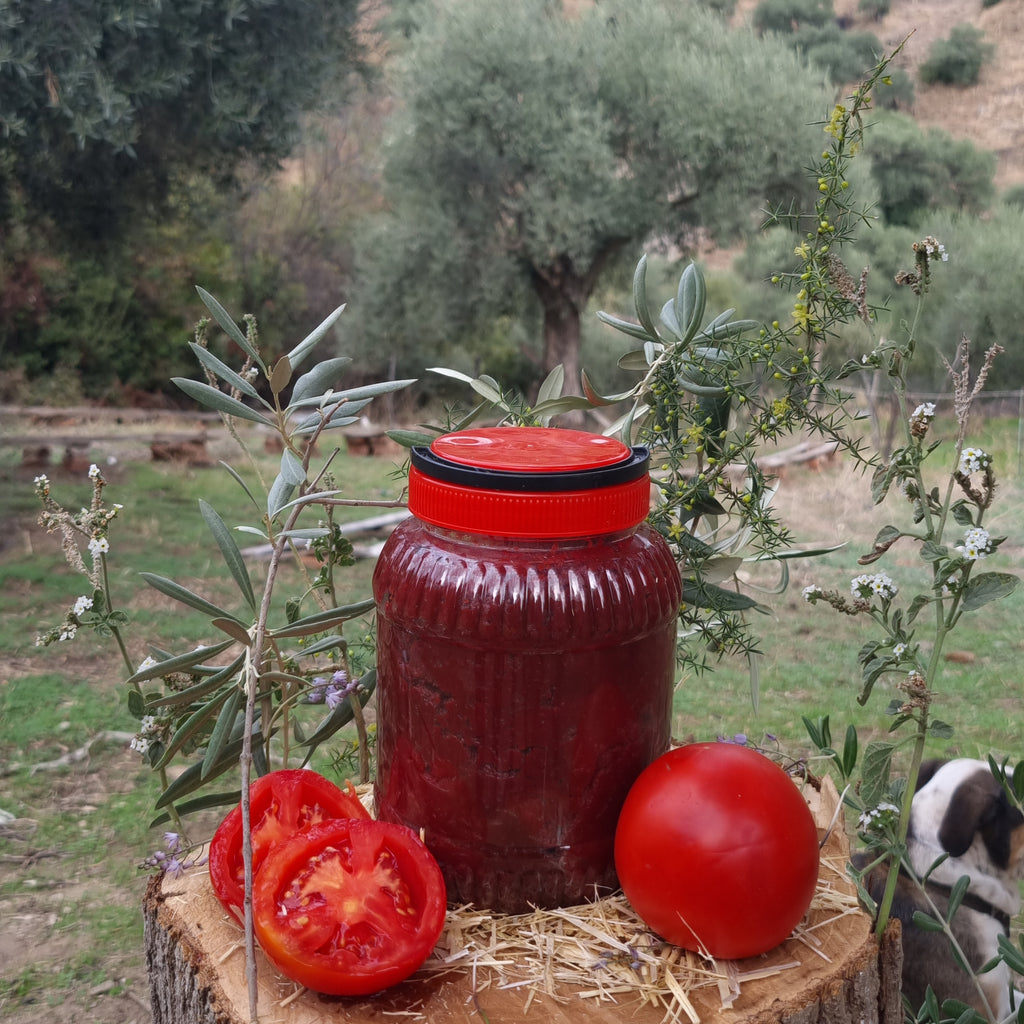 Köşk - Domates Salçası (1 Kg)