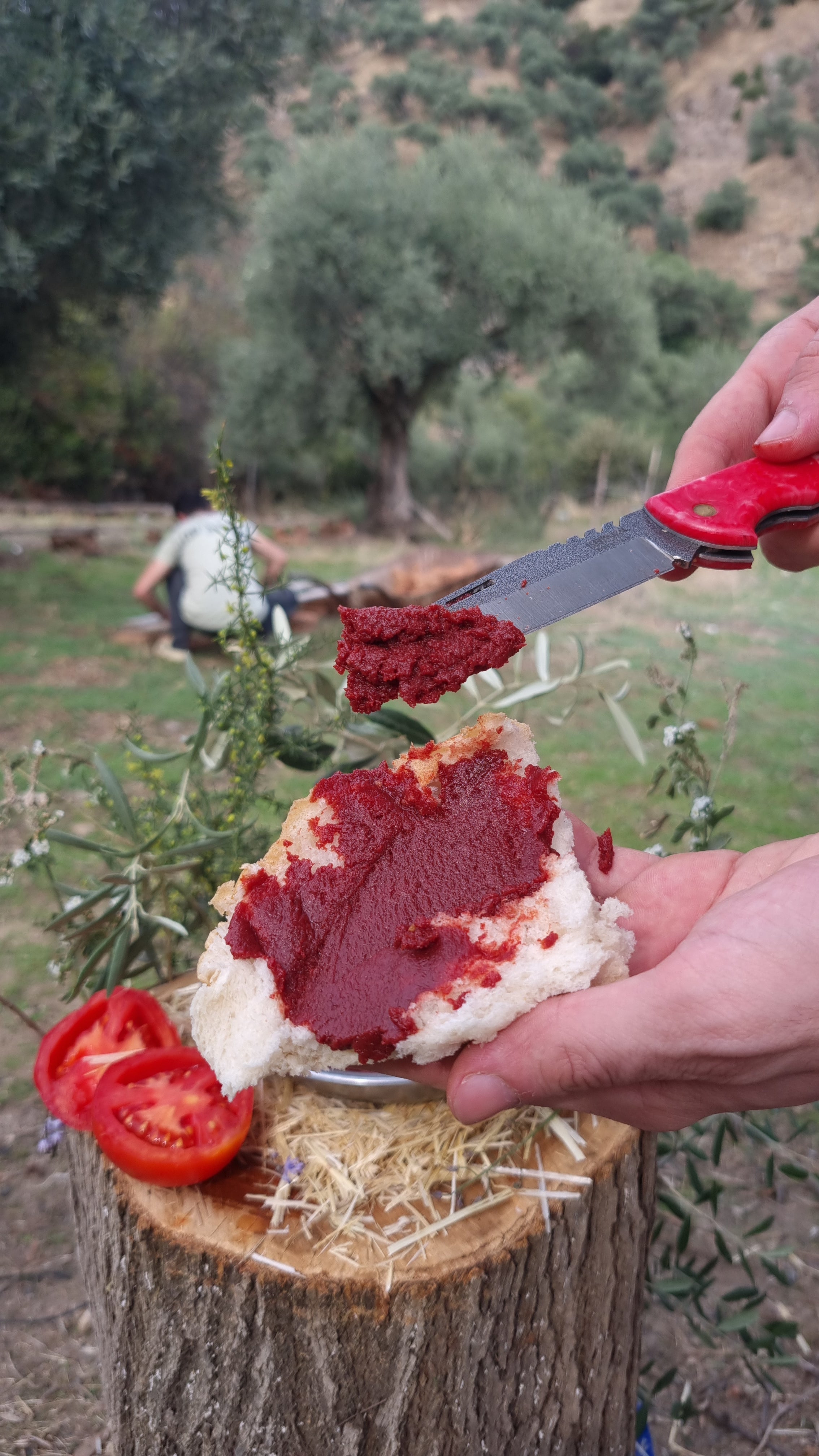 Köşk - Domates Salçası (1 Kg)