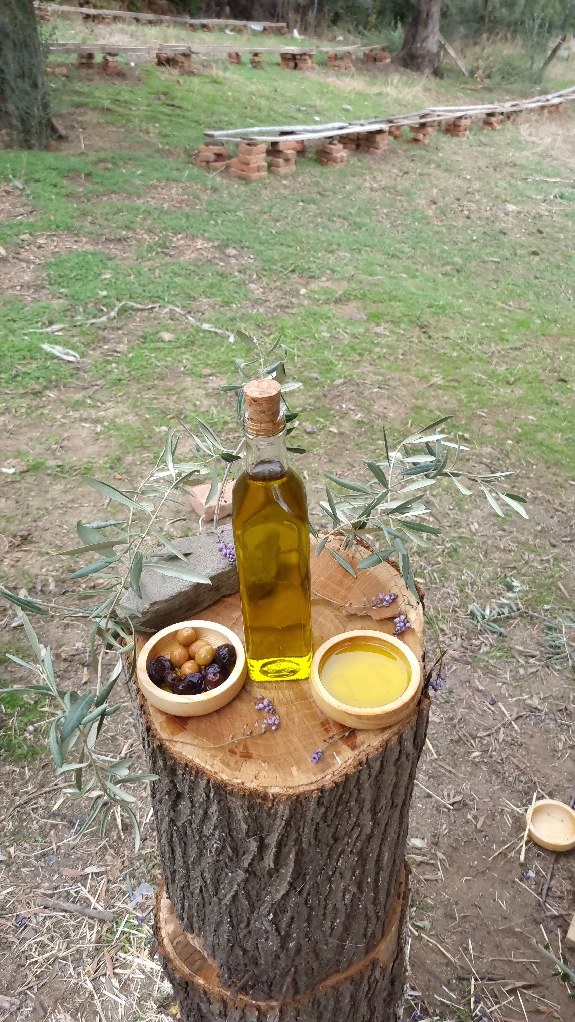 Köşk - Soğuk Sıkım Zeytinyağı