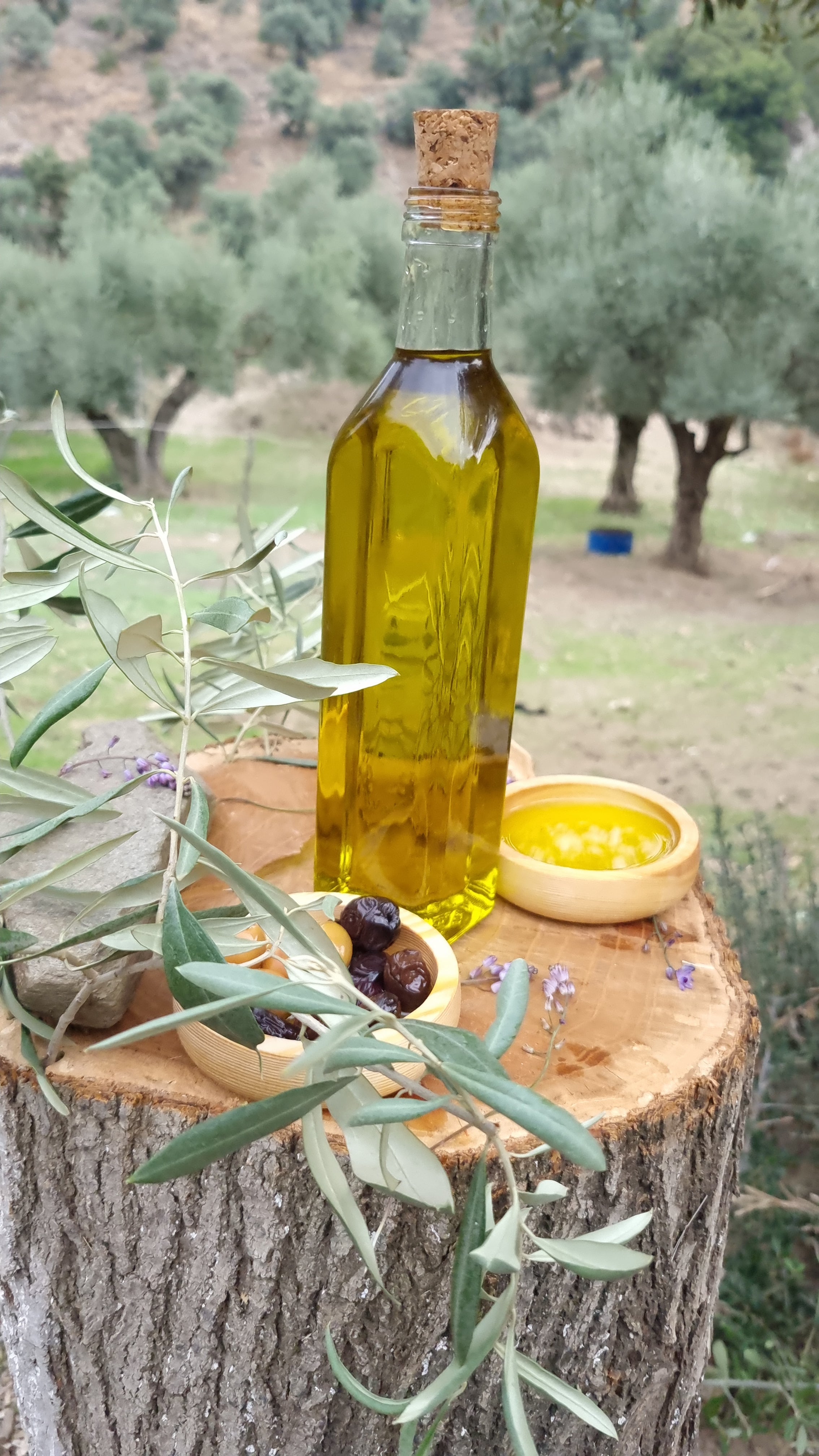 Köşk - Soğuk Sıkım Zeytinyağı