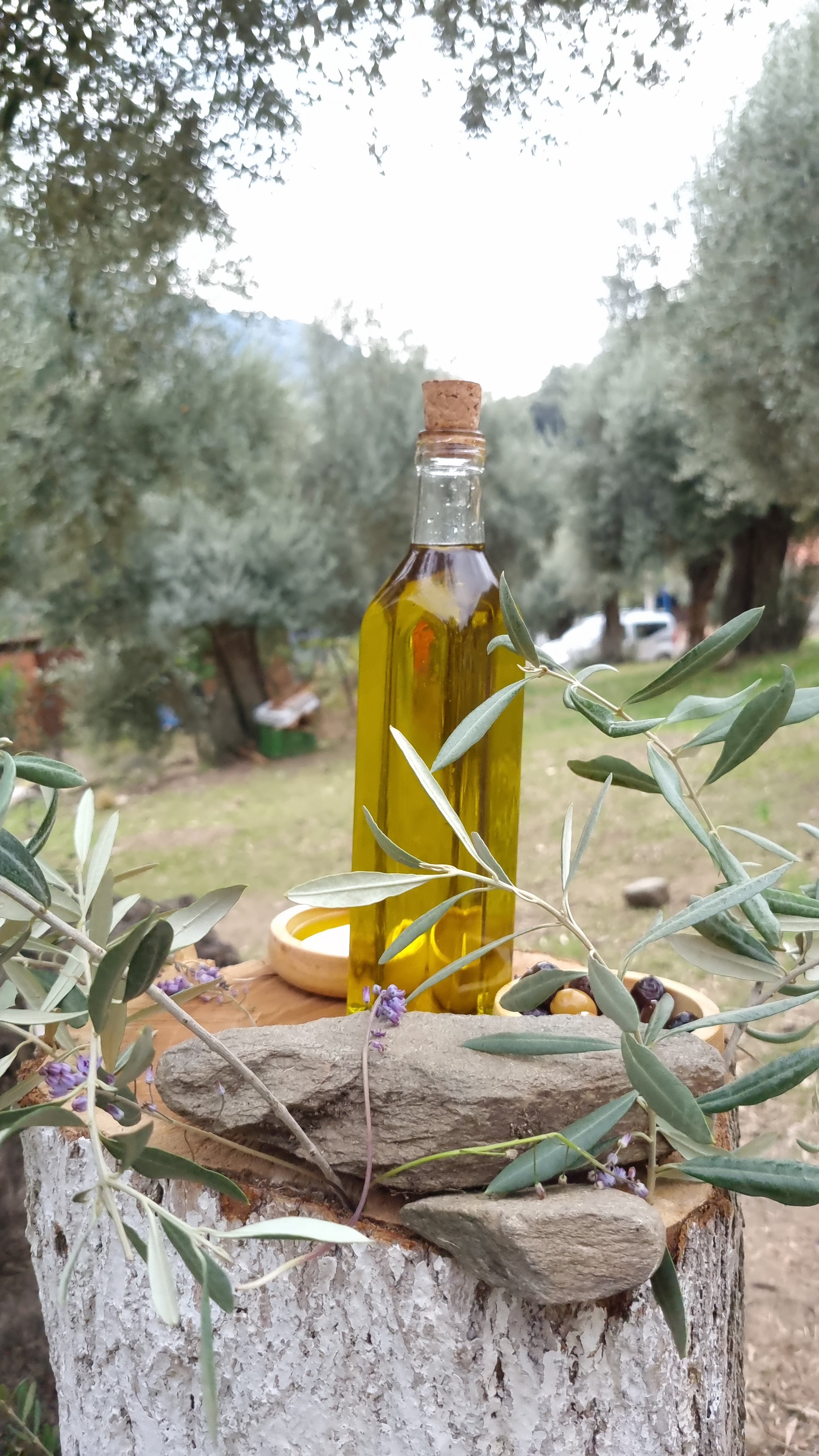 Köşk - Soğuk Sıkım Zeytinyağı