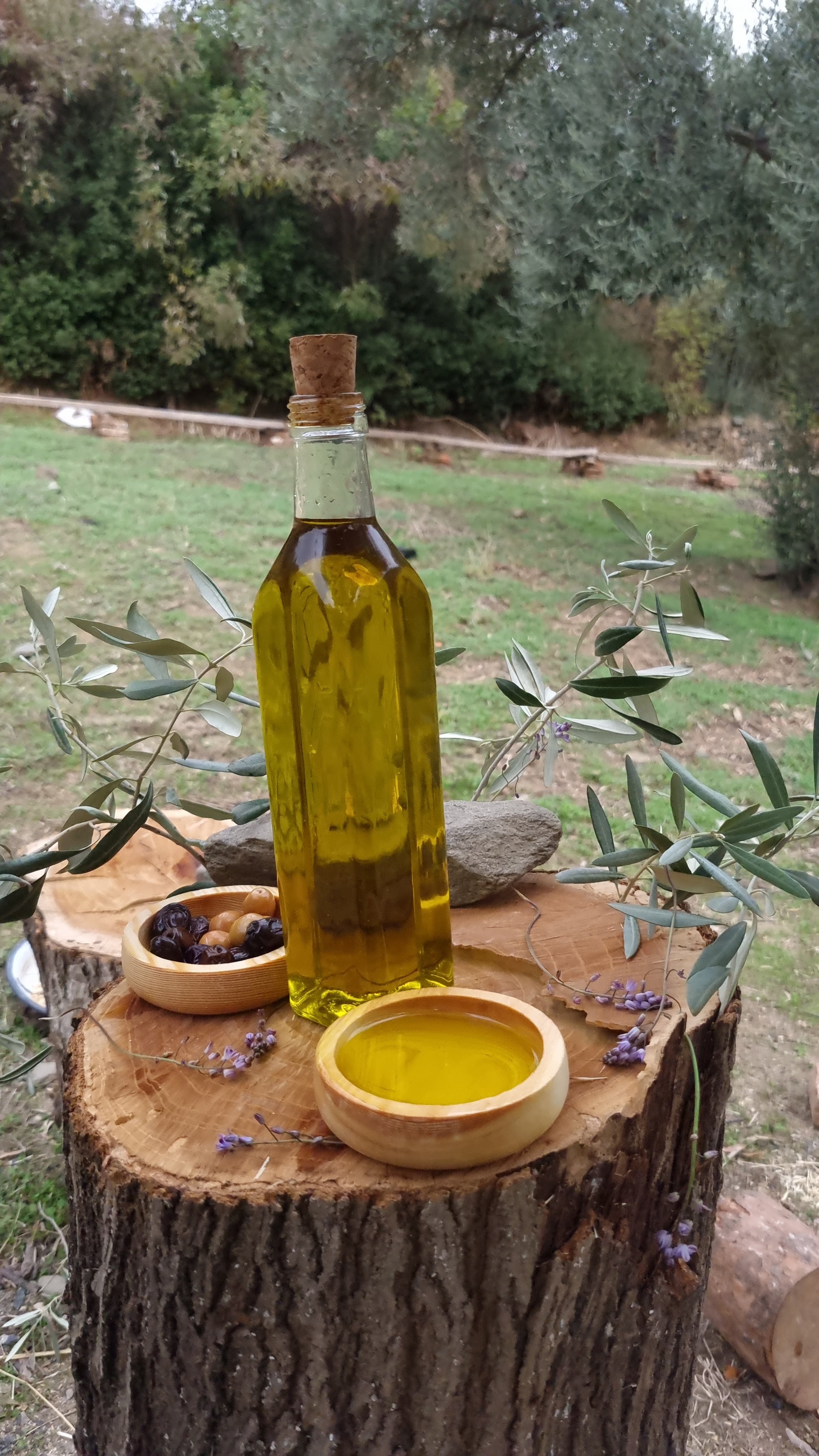 Köşk - Soğuk Sıkım Zeytinyağı