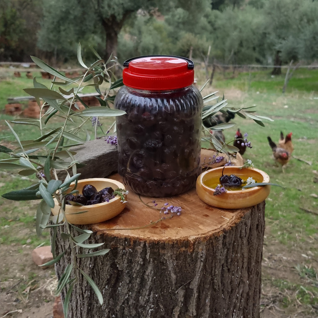 Köşk - Siyah Zeytin