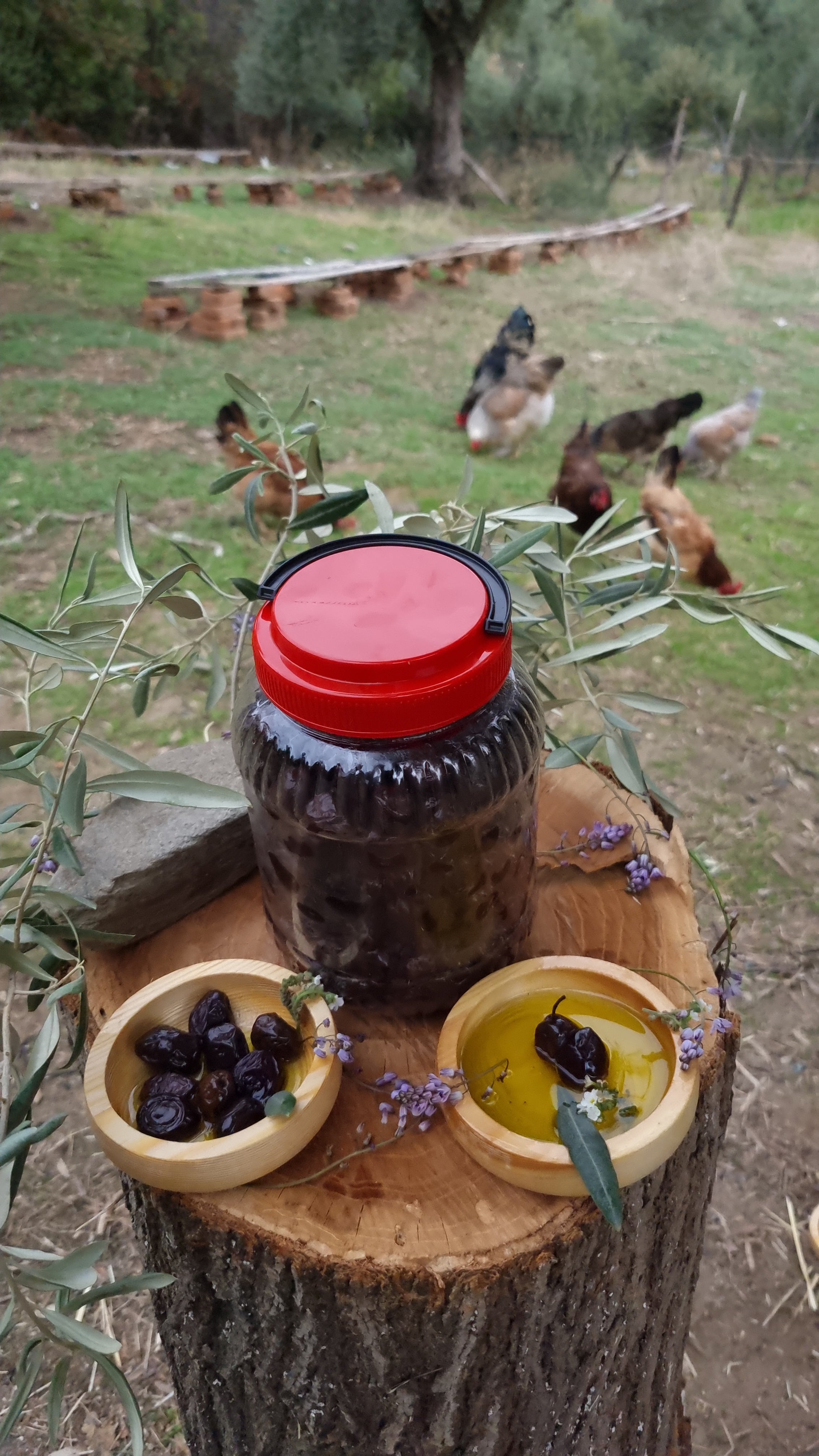Köşk - Siyah Zeytin