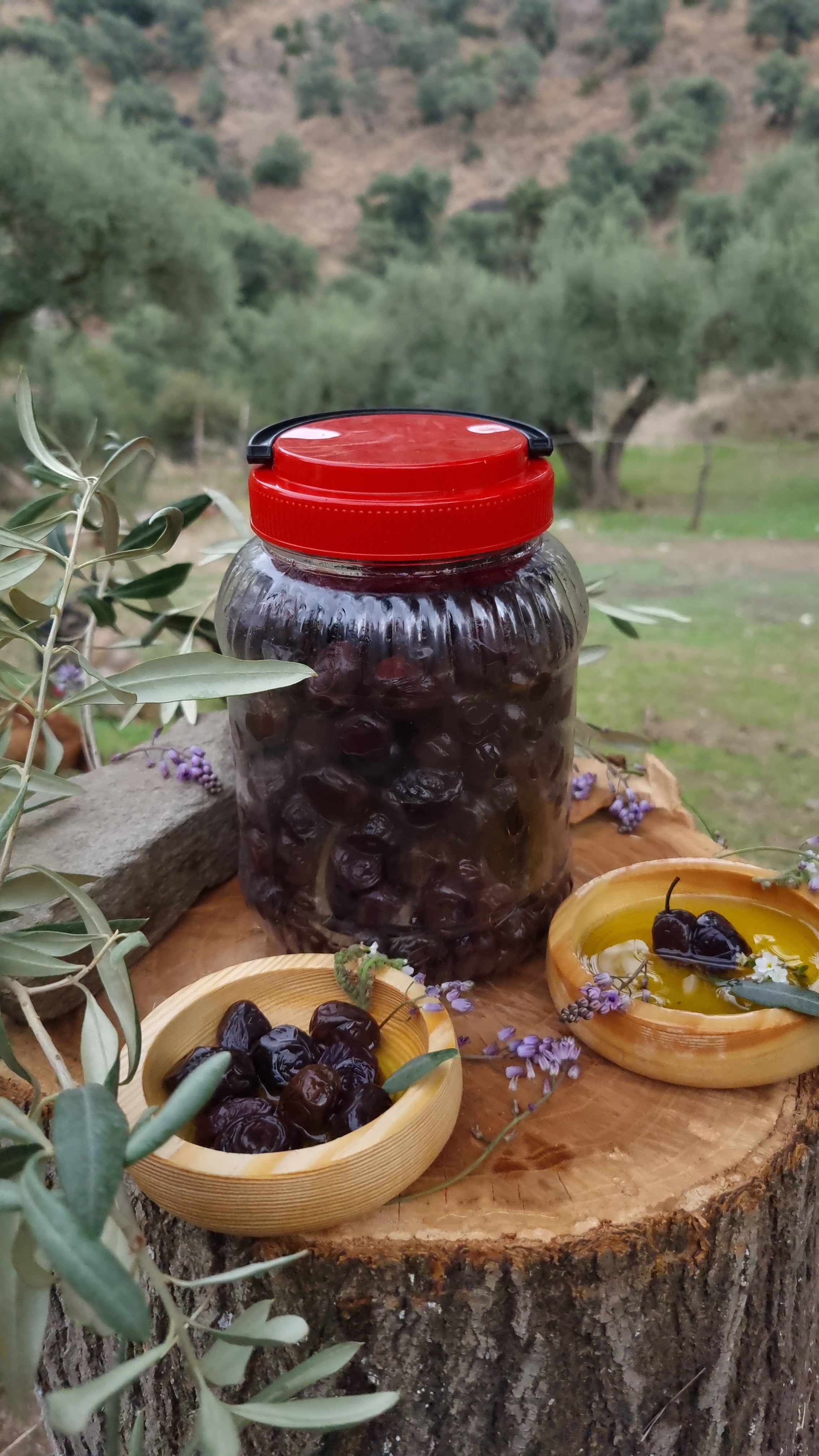 Köşk - Siyah Zeytin