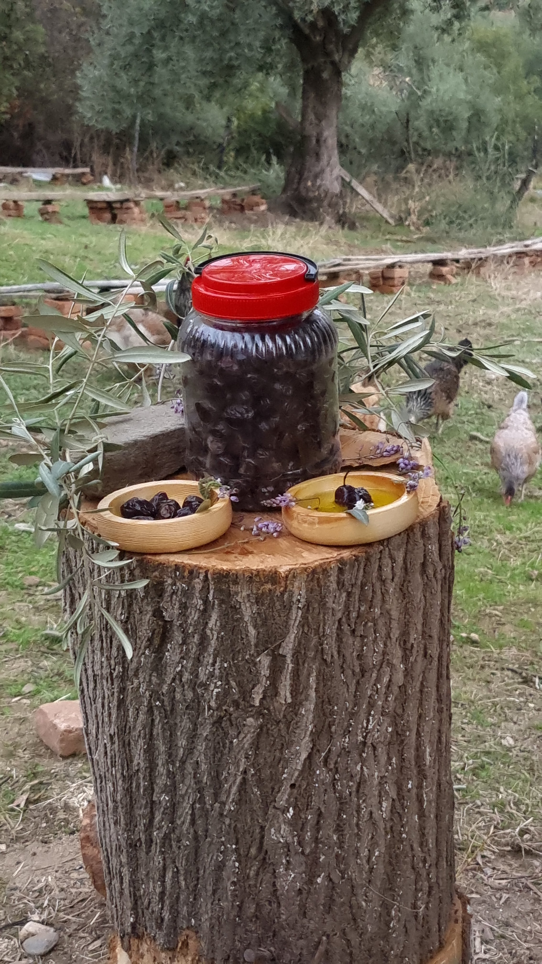 Köşk - Siyah Zeytin