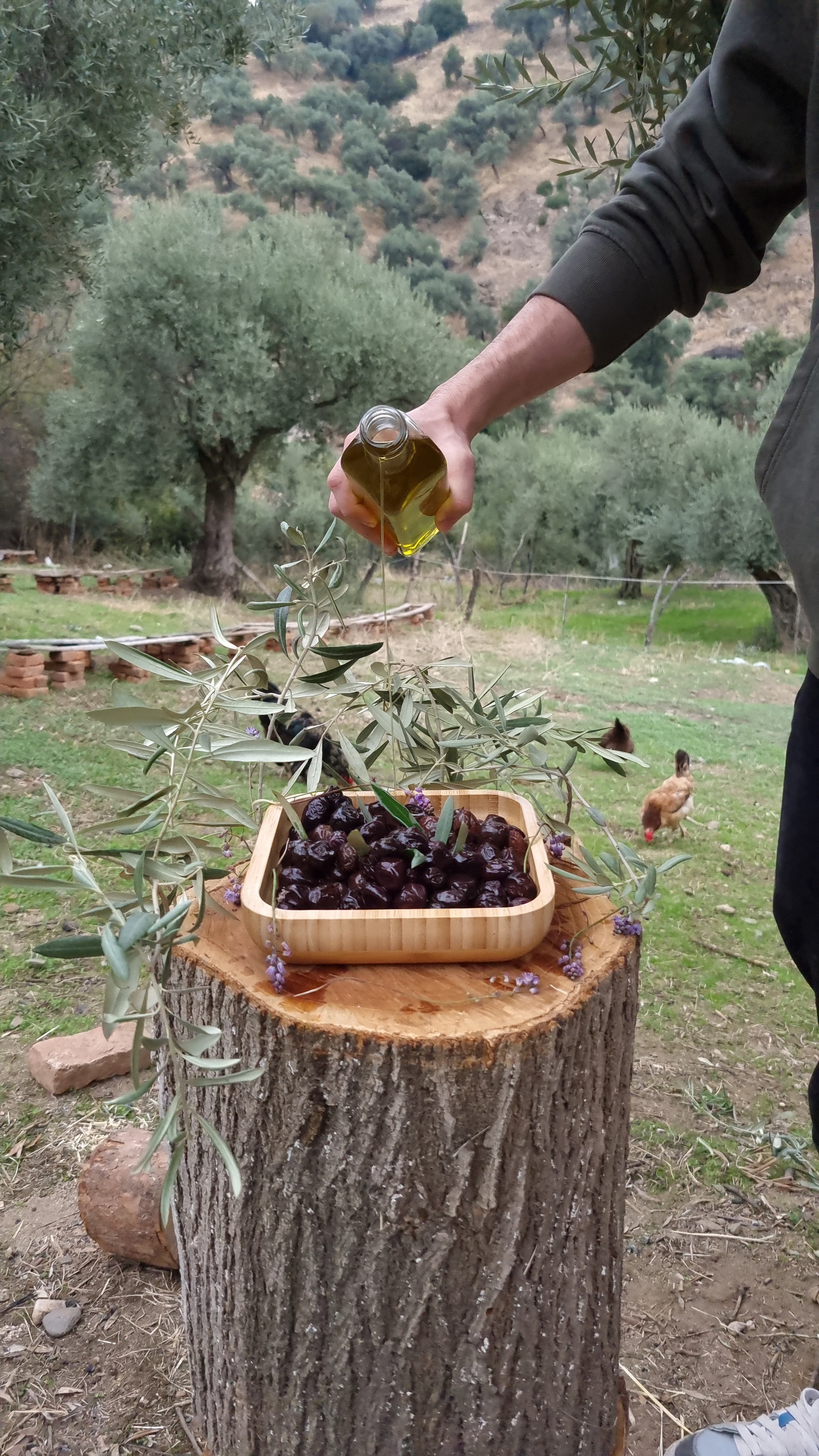 Köşk - Siyah Zeytin