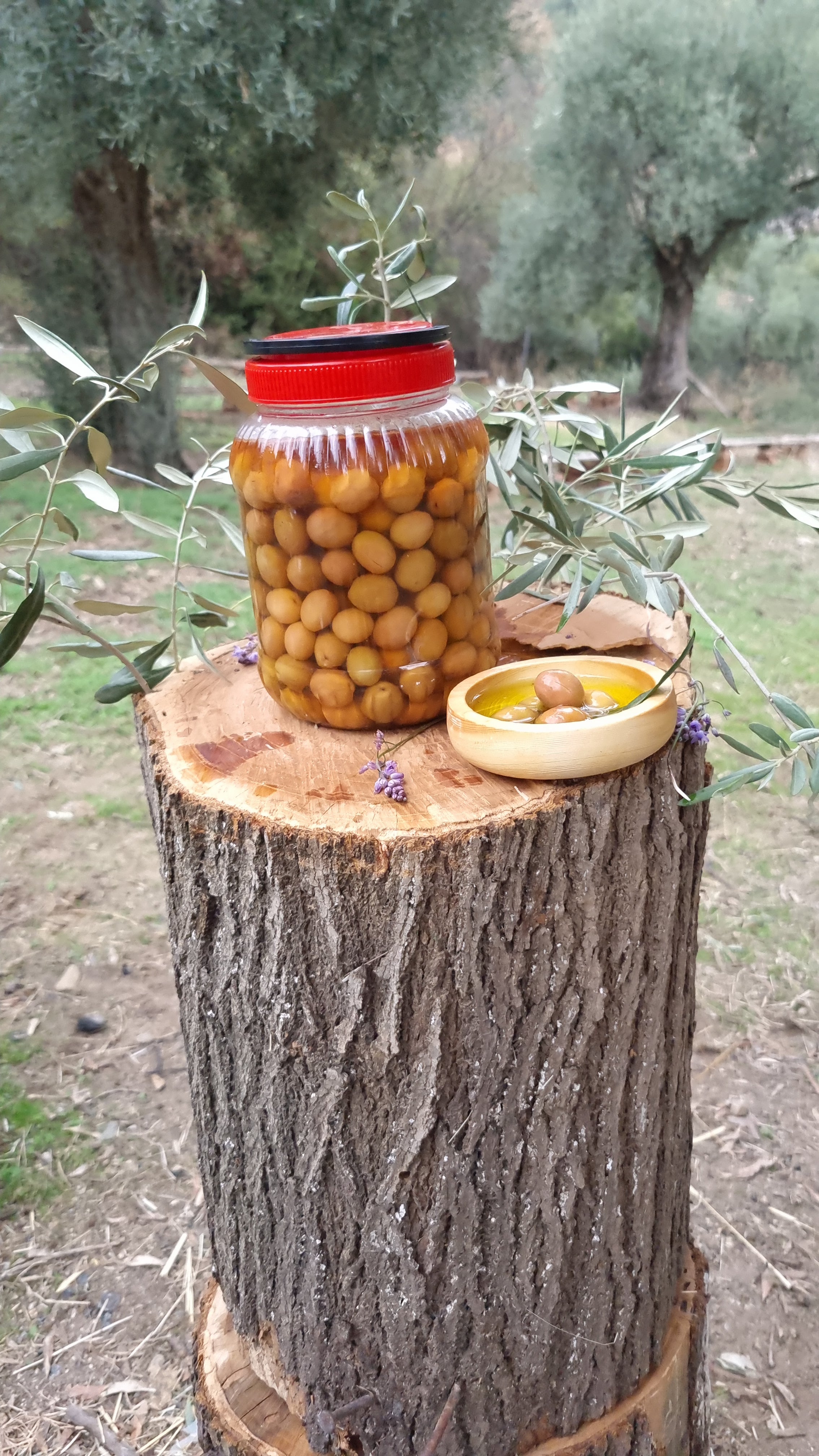 Köşk - Yeşil Zeytin