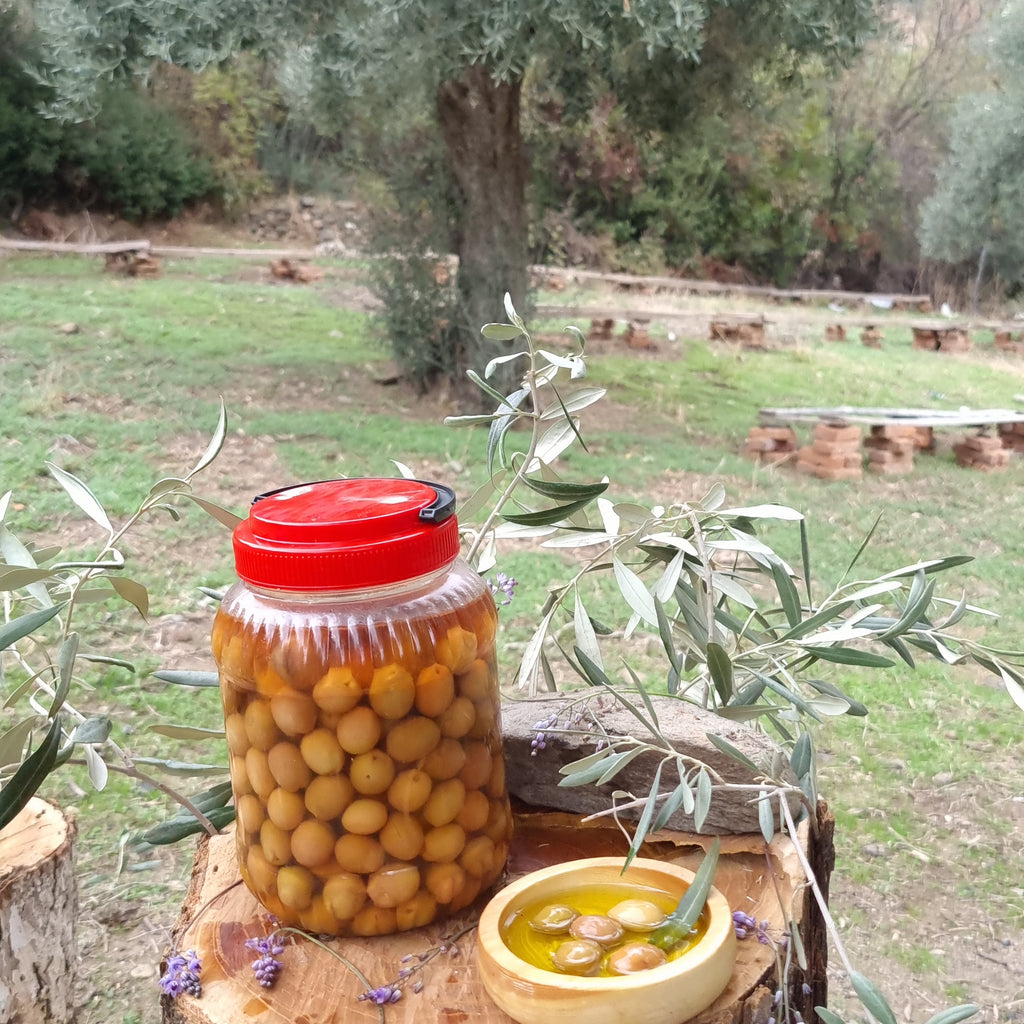 Köşk - Yeşil Zeytin