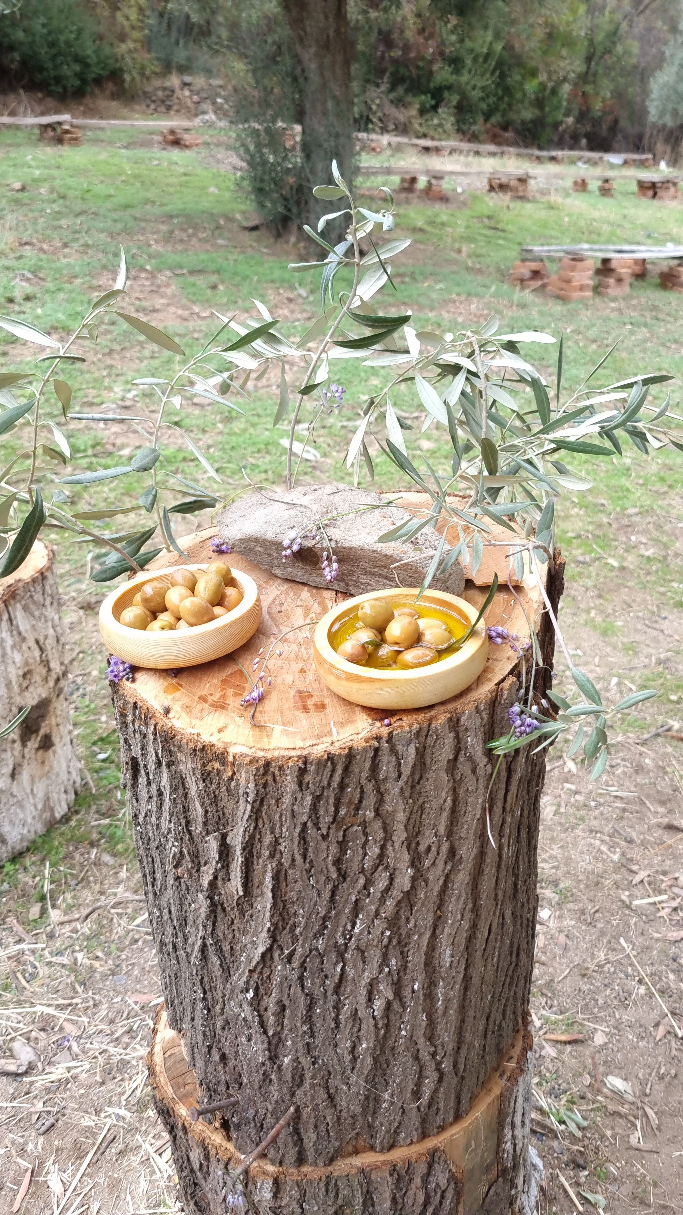 Köşk - Yeşil Zeytin