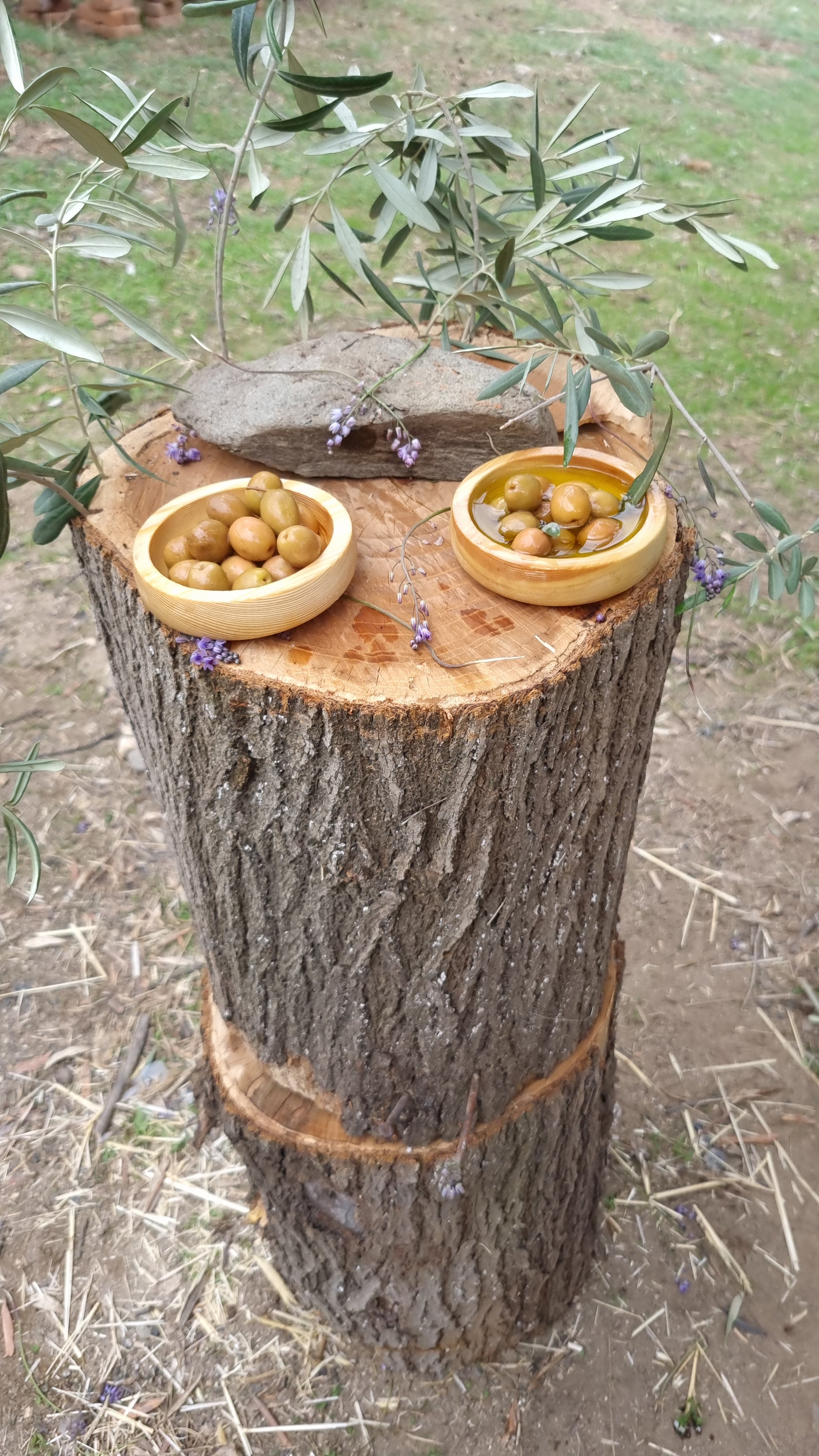 Köşk - Yeşil Zeytin