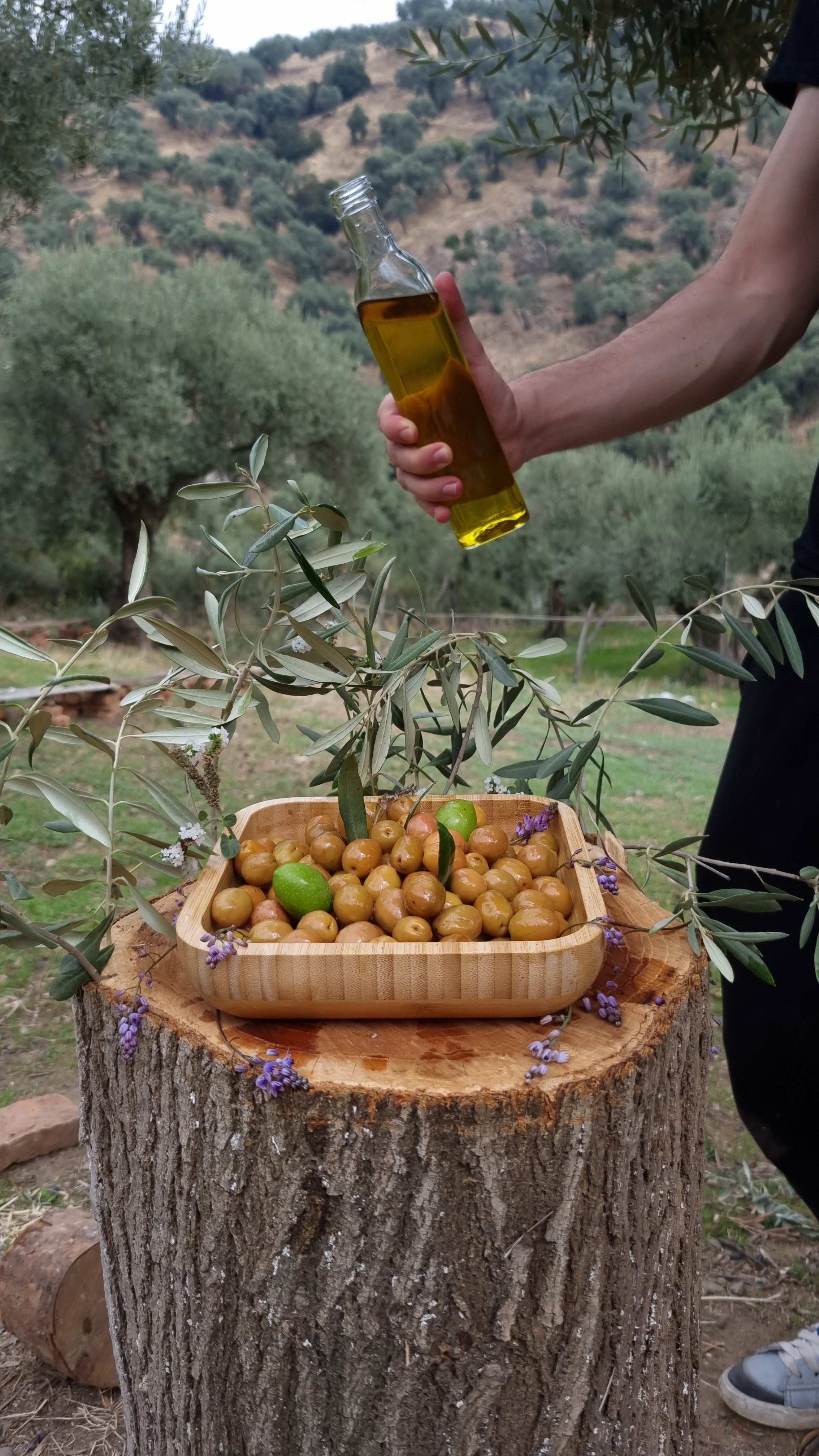 Köşk - Yeşil Zeytin