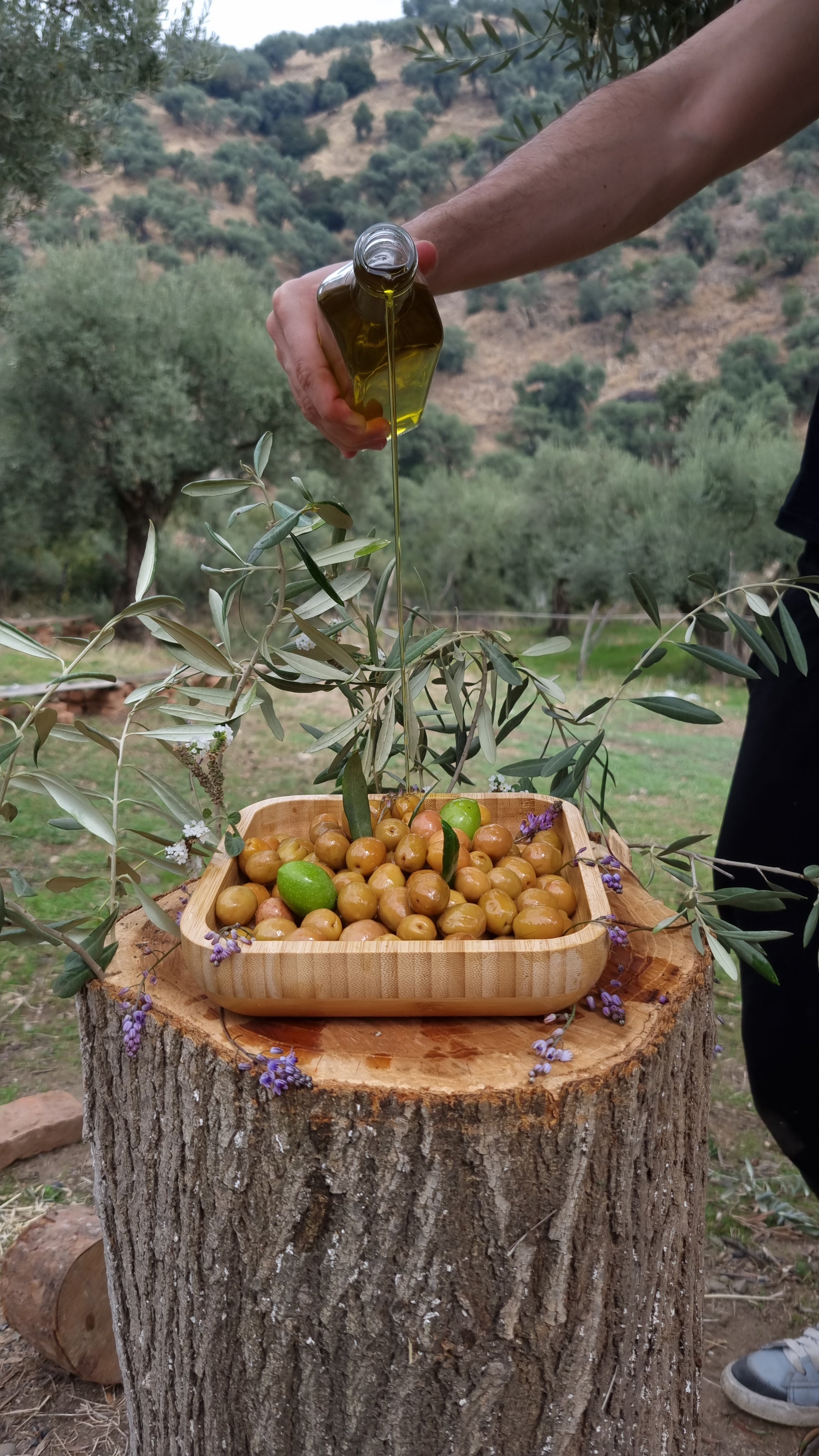 Köşk - Yeşil Zeytin