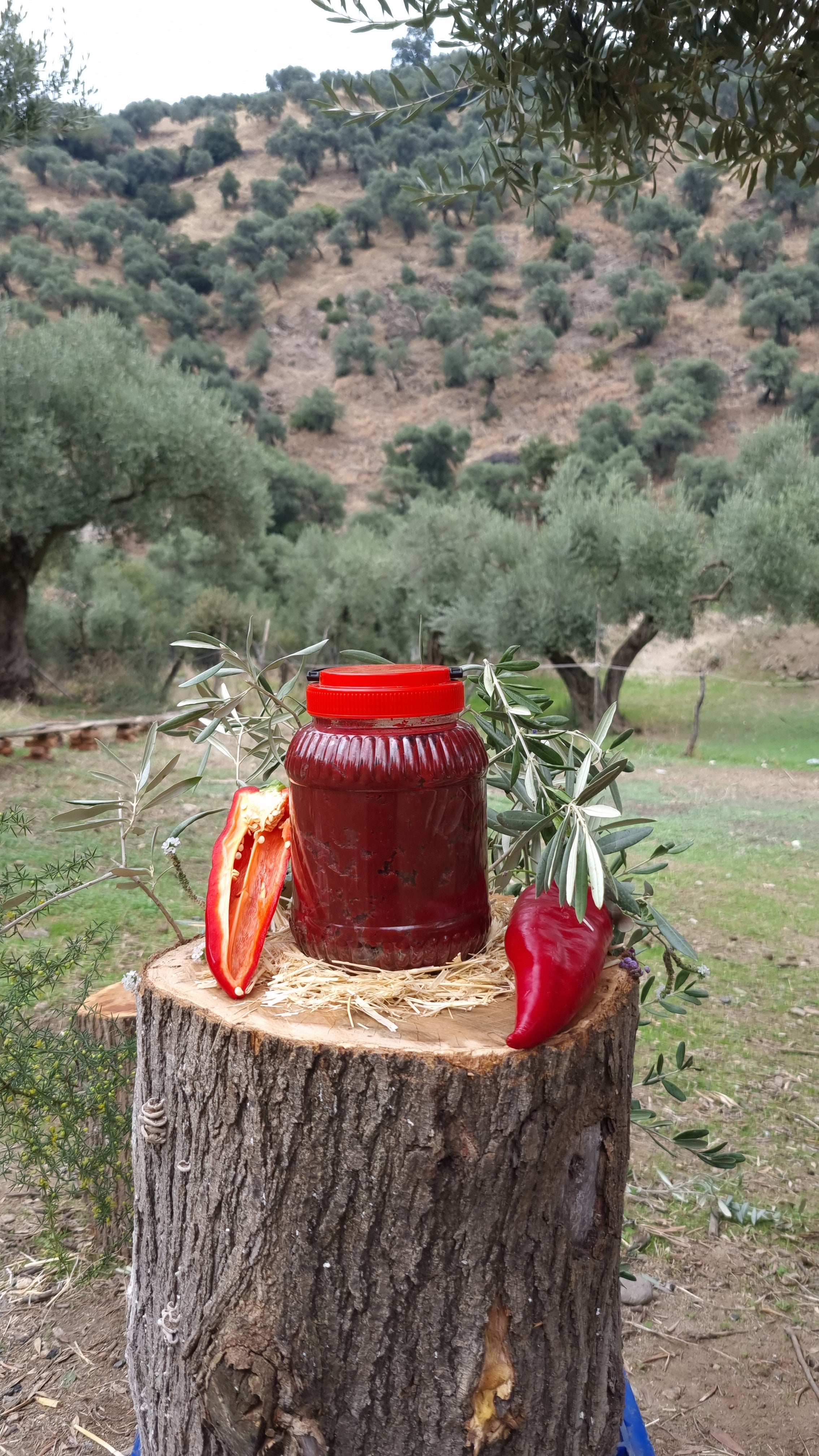 Köşk - Tatlı Biber Salçası (1 Kg)