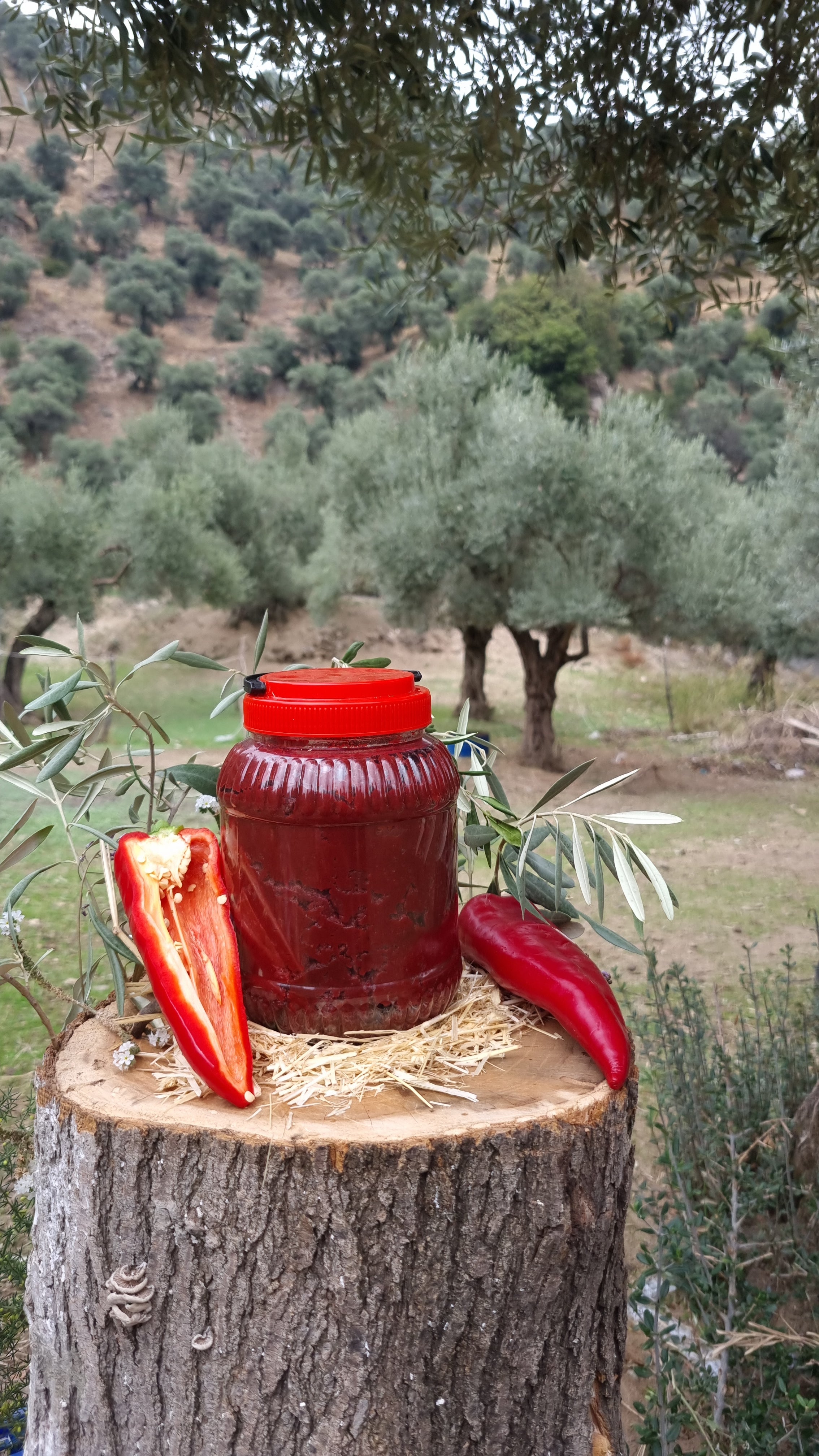 Köşk - Tatlı Biber Salçası (1 Kg)