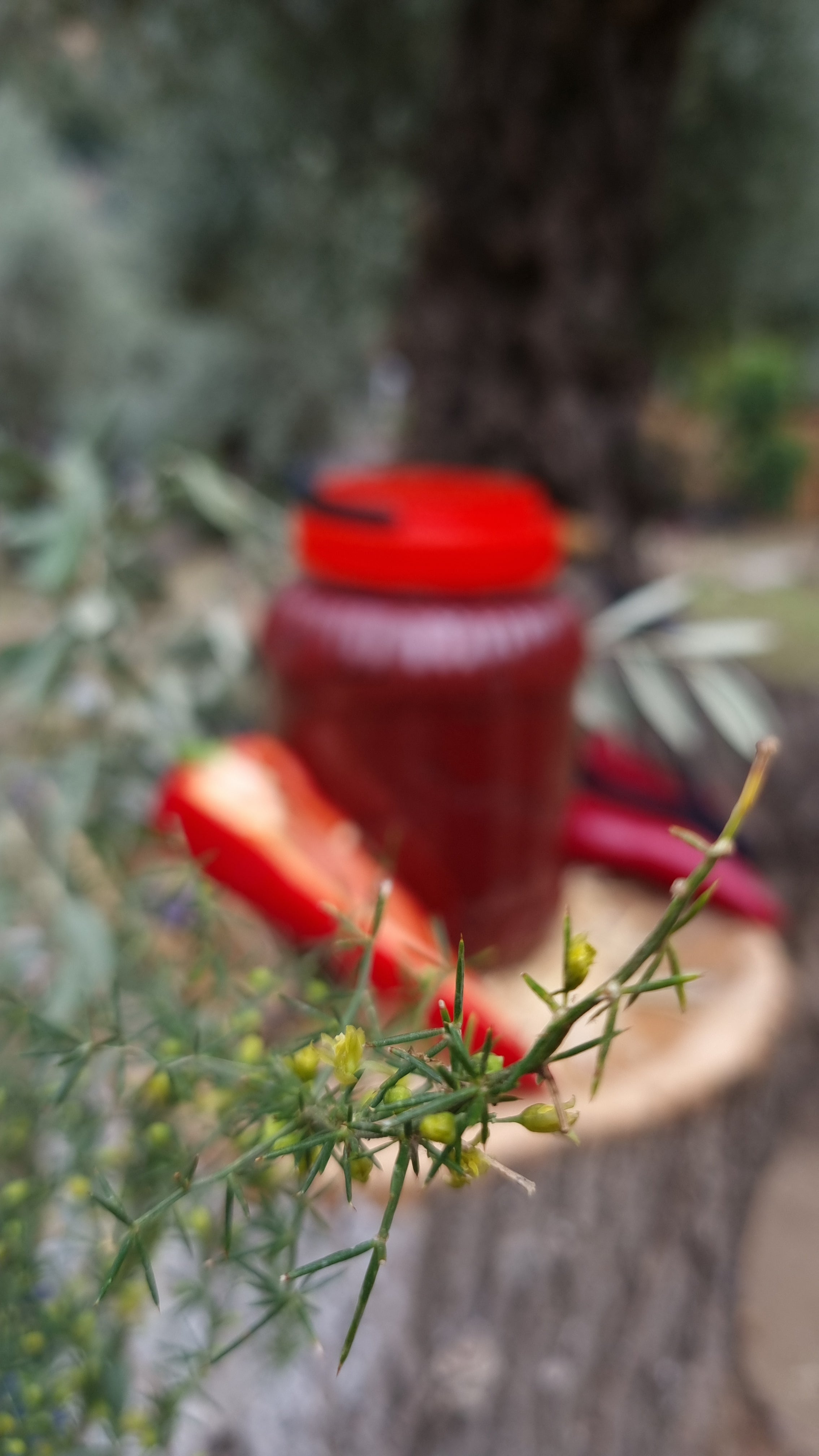 Köşk - Tatlı Biber Salçası (1 Kg)