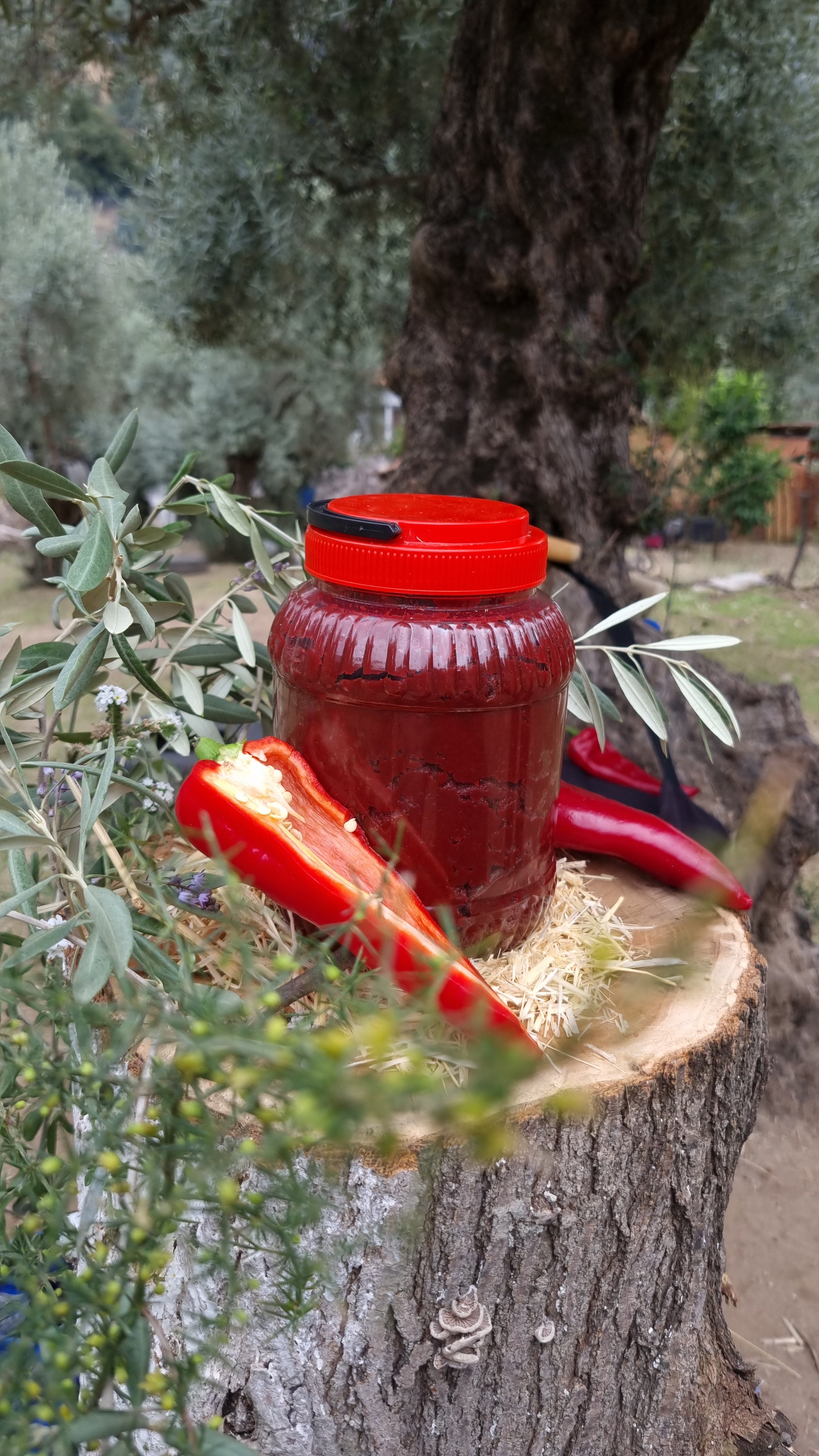 Köşk - Tatlı Biber Salçası (1 Kg)