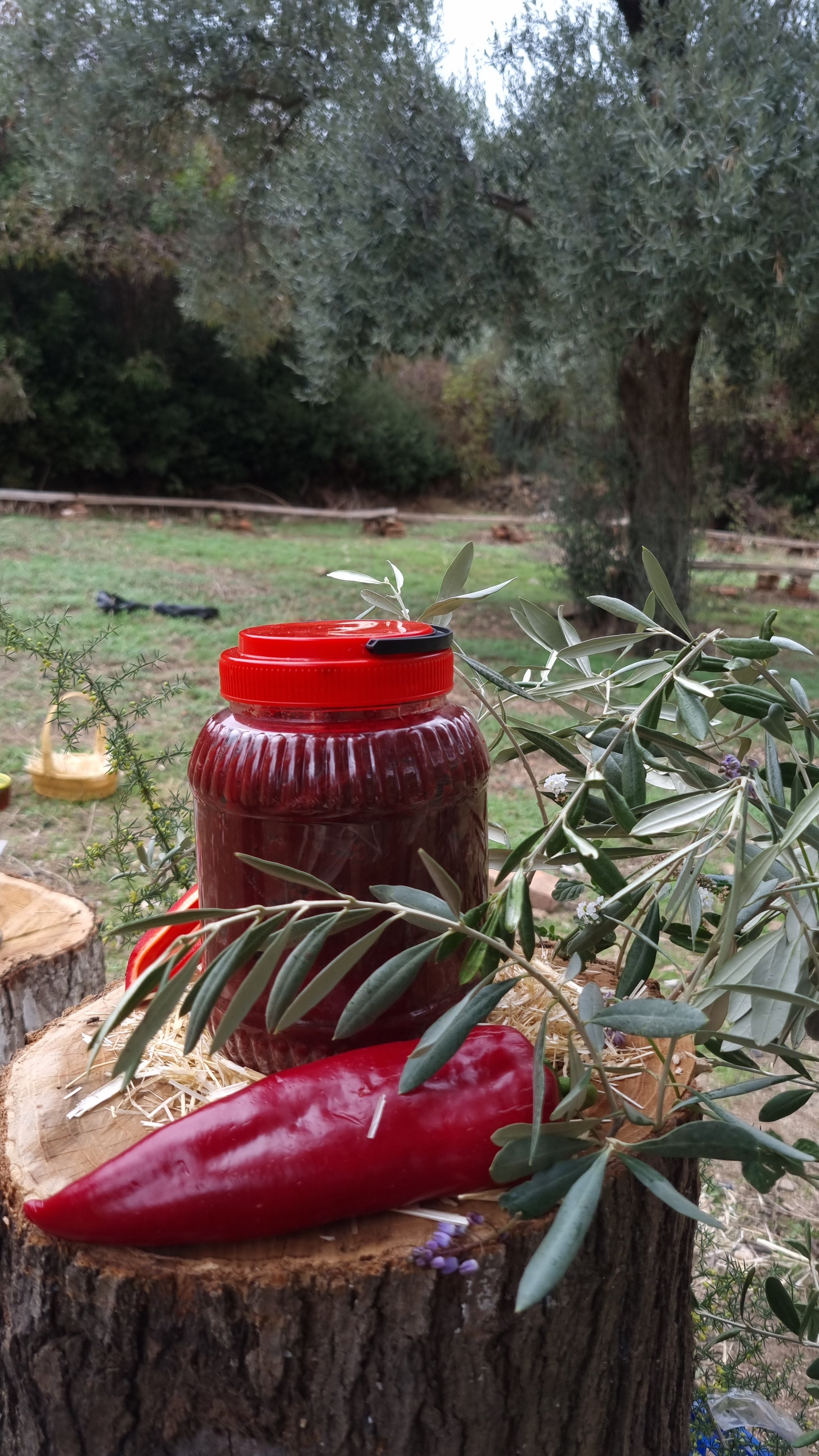 Köşk - Tatlı Biber Salçası (1 Kg)