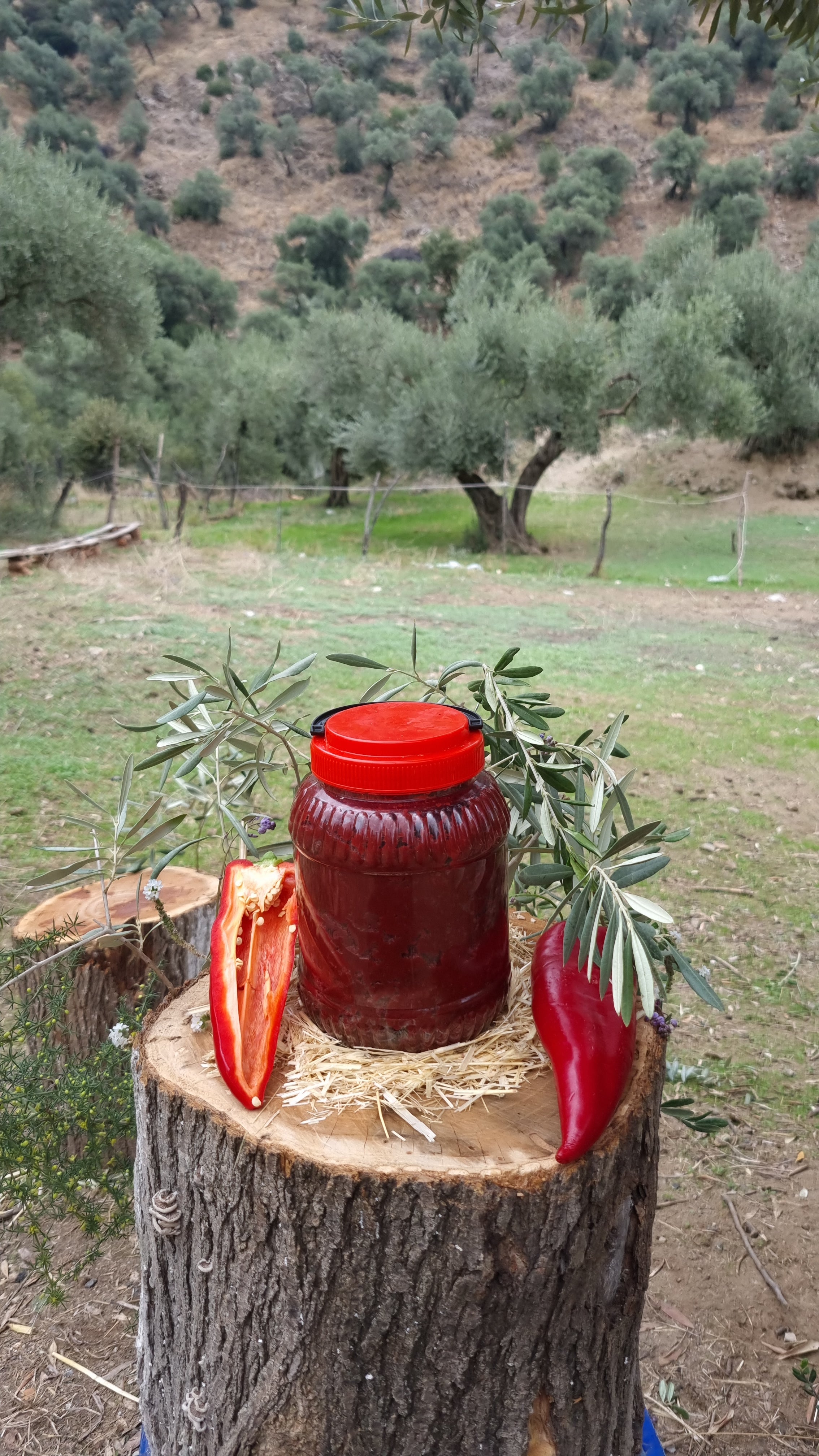 Köşk - Tatlı Biber Salçası (1 Kg)