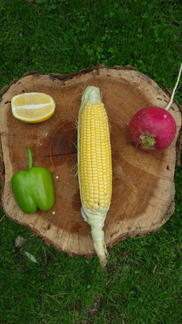 Köşk - Mısır (1 KG)