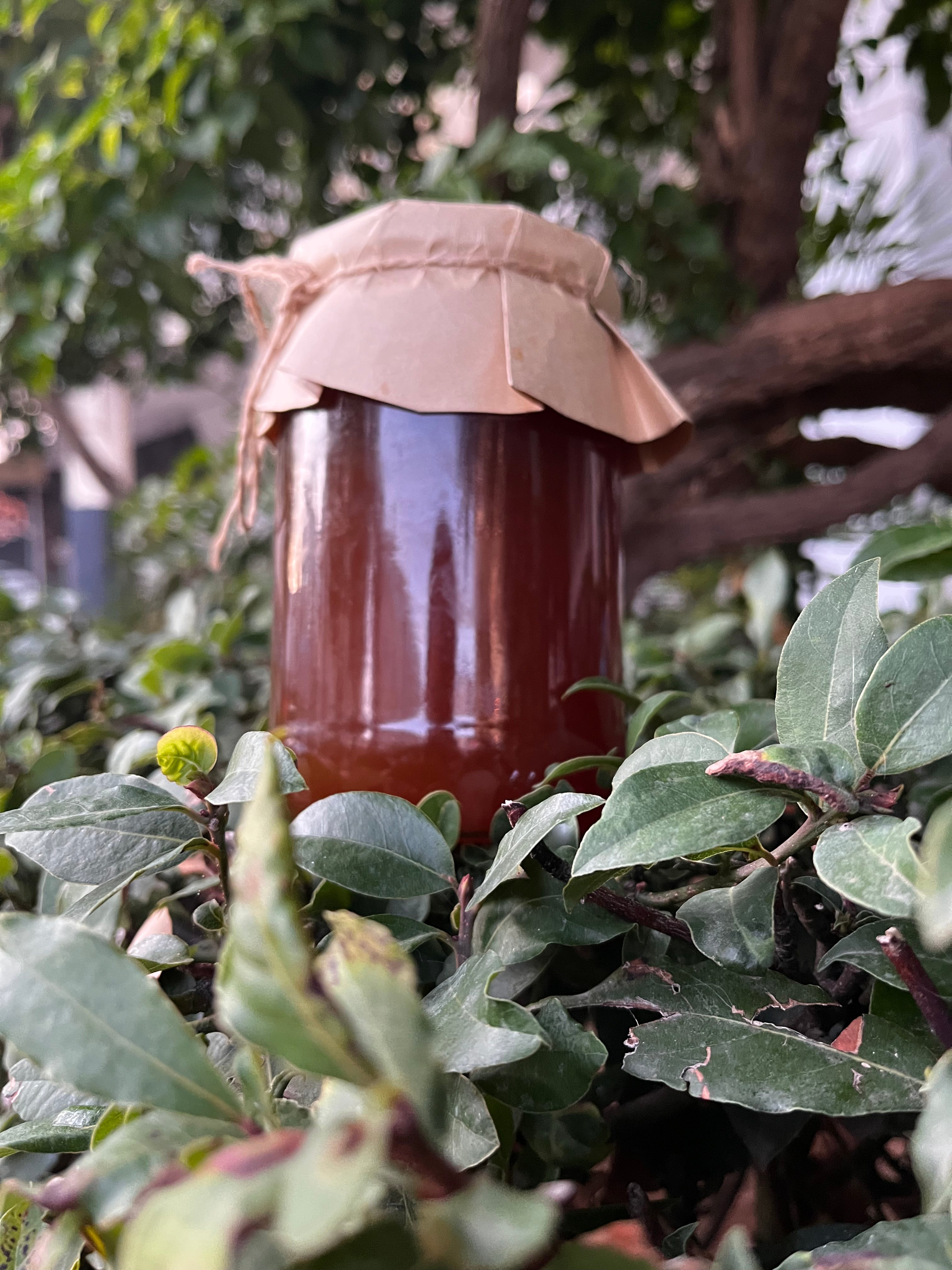 Köşk - Süzme Kızıl Çam Balı