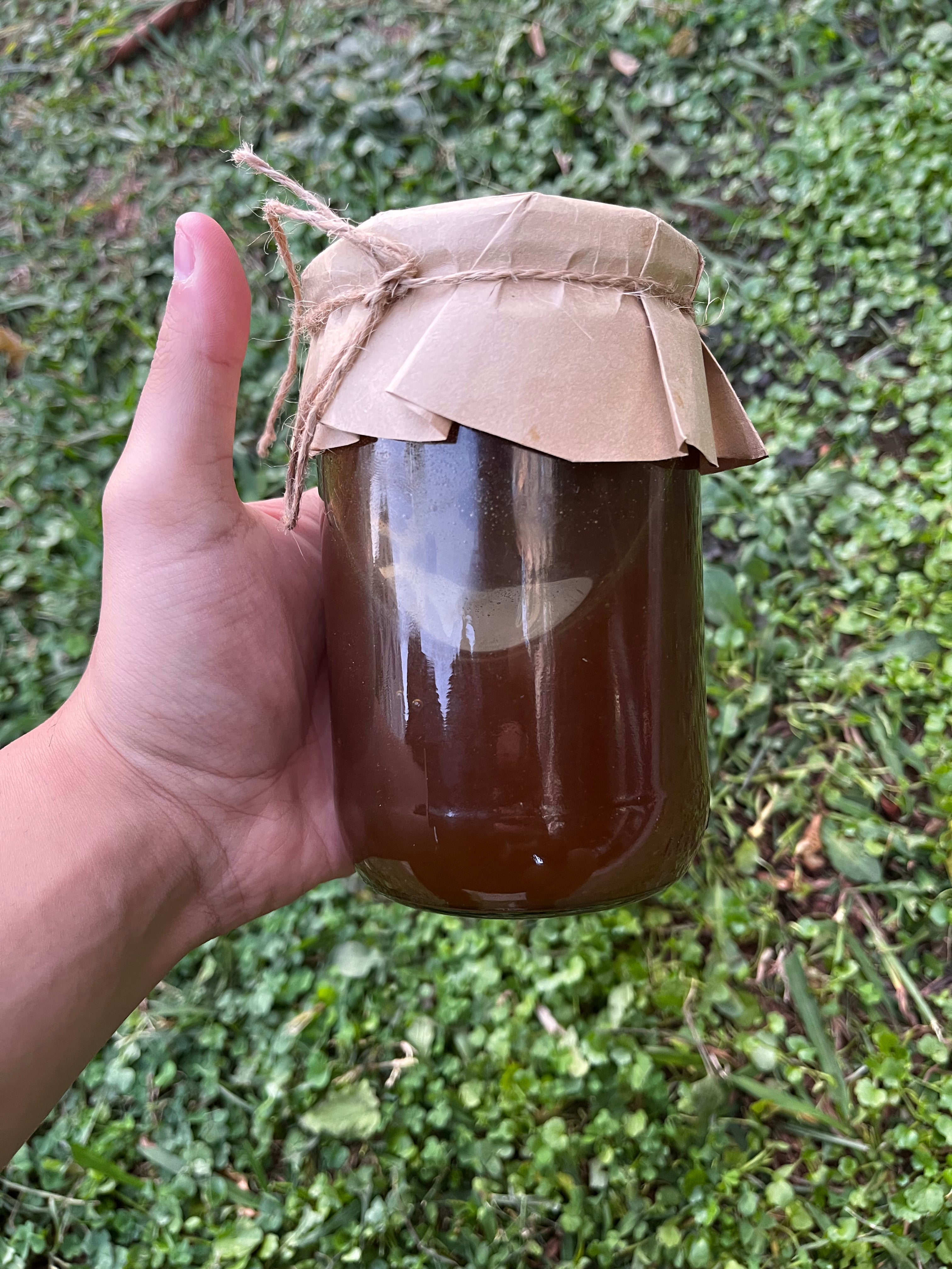 Köşk - Süzme Kızıl Çam Balı