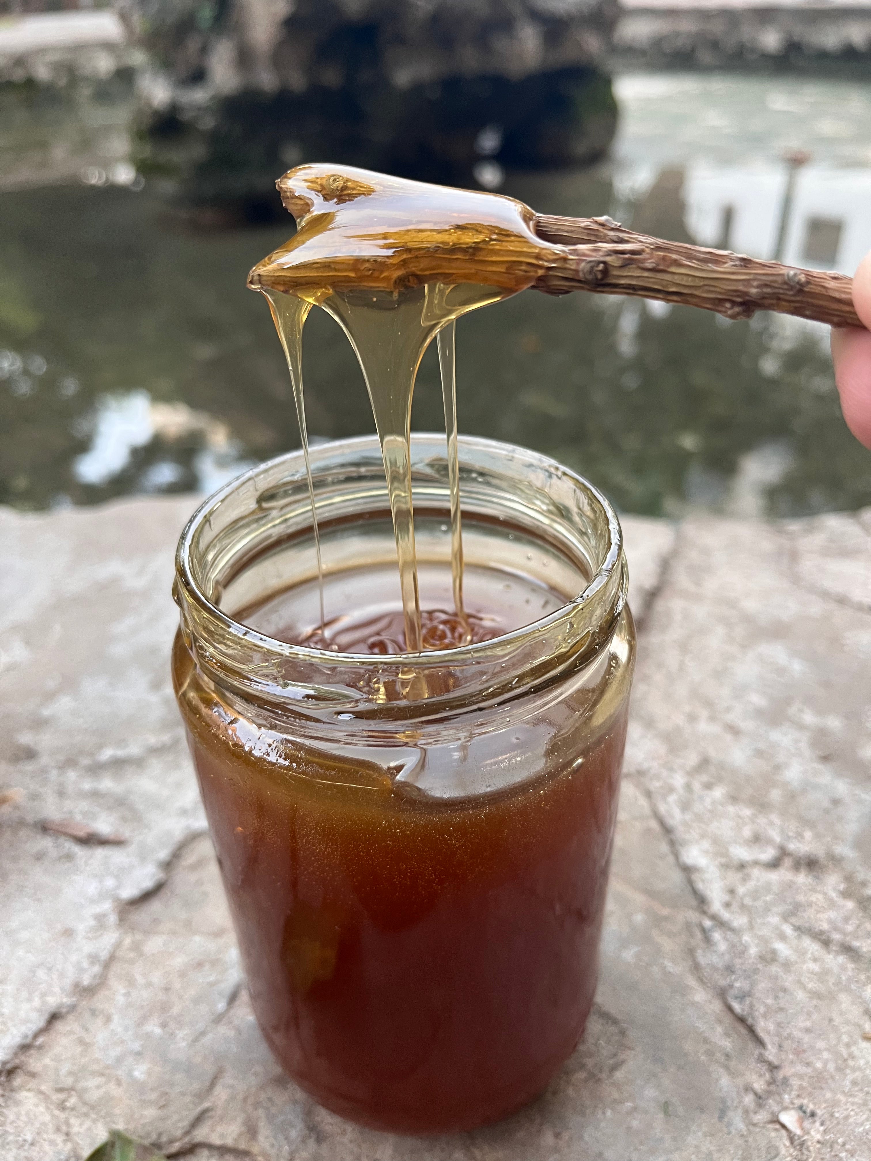 Köşk - Süzme Kızıl Çam Balı