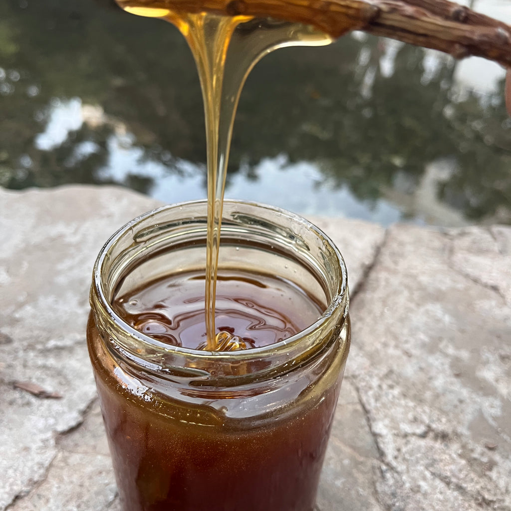 Köşk - Süzme Kızıl Çam Balı