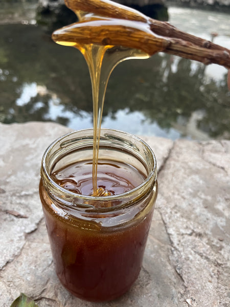 Köşk - Süzme Kızıl Çam Balı